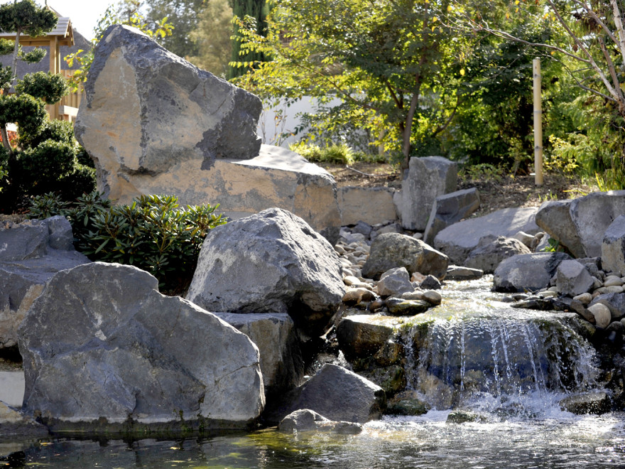 rencontre parc borely