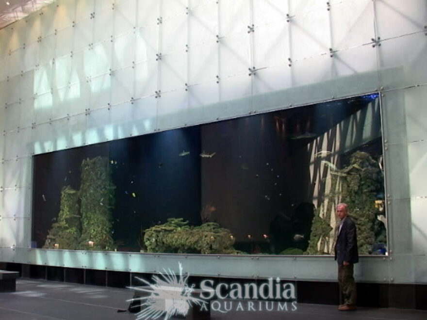 Urban Jump Indoor Trampoline Park Marseille