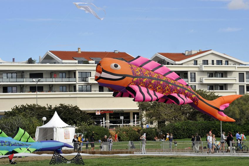 rencontre cerf volant 2012