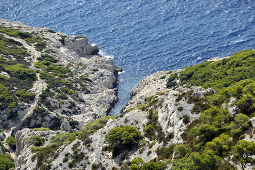 Calanque de la Mounine, la guenon !