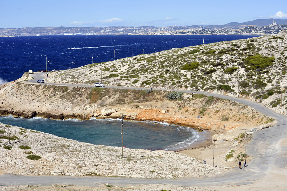 Plage de la Maronaise, Retour à l’état Sauvage