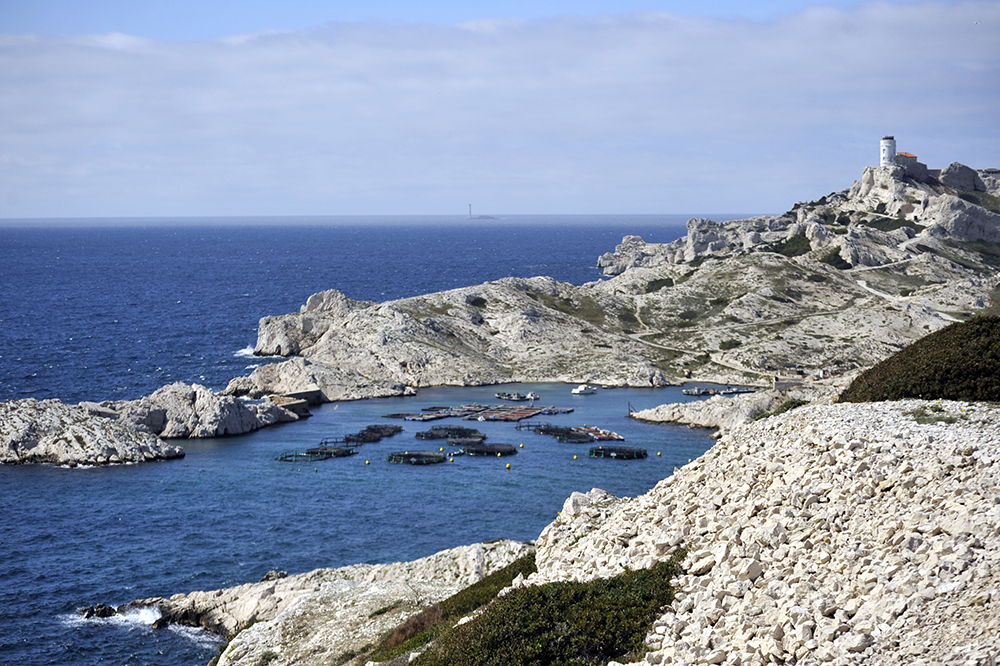 Calanque du Port de Quarantaine de Pomègues, Frioul