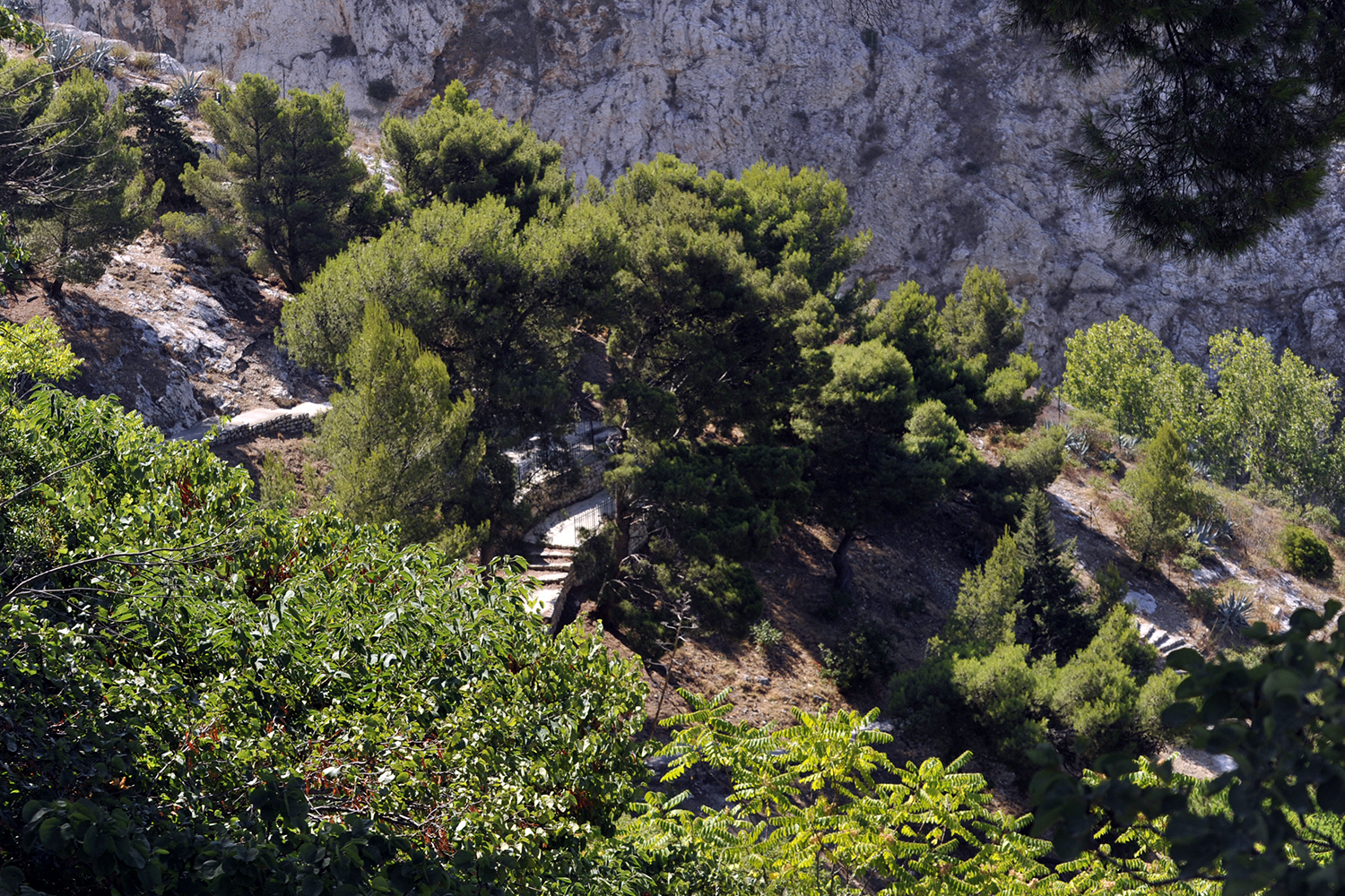 Jardin du Bois Sacré, la Genèse de la Bonne Mère