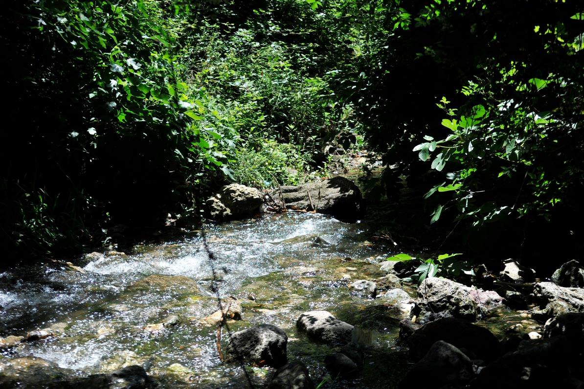 Ruisseau des Aygalades, le Petit Fleuve Oublié