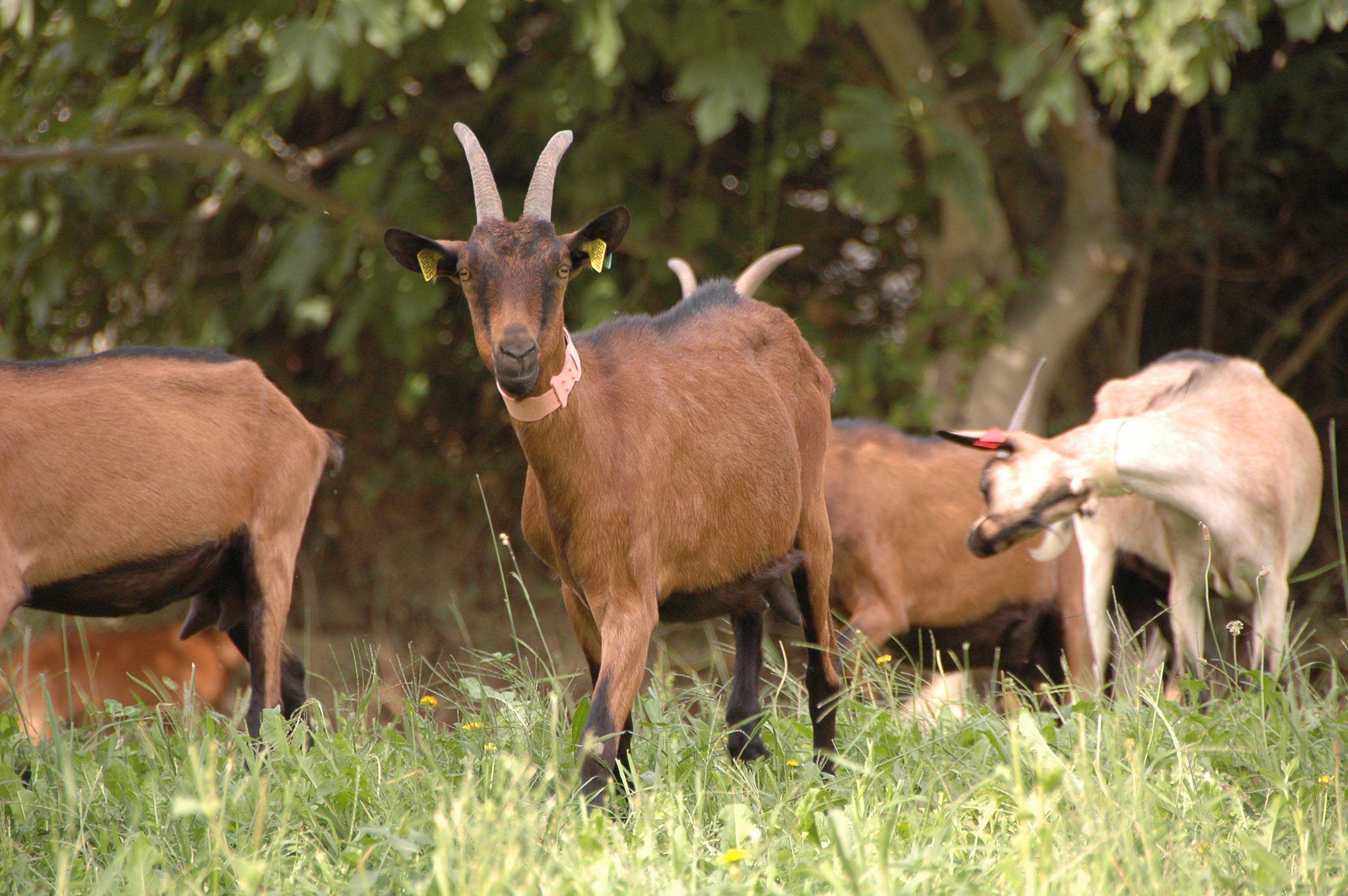 Ferme Pédagogique Le Roy d’Espagne