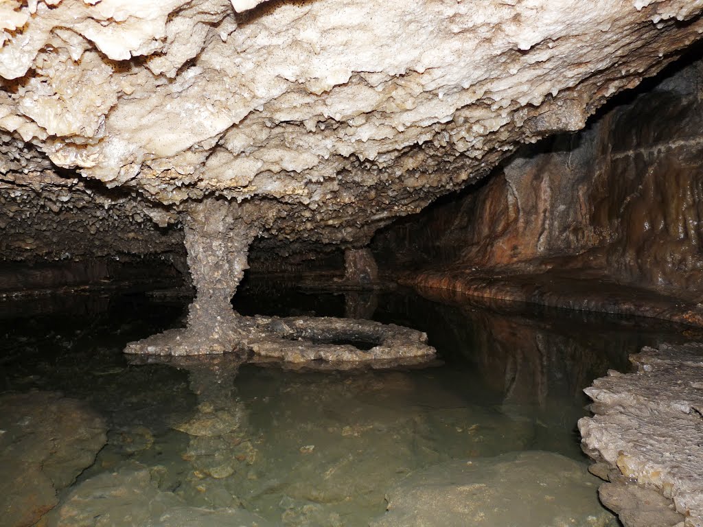 La Grotte de l’Ours, mais Ours, y es-tu ?