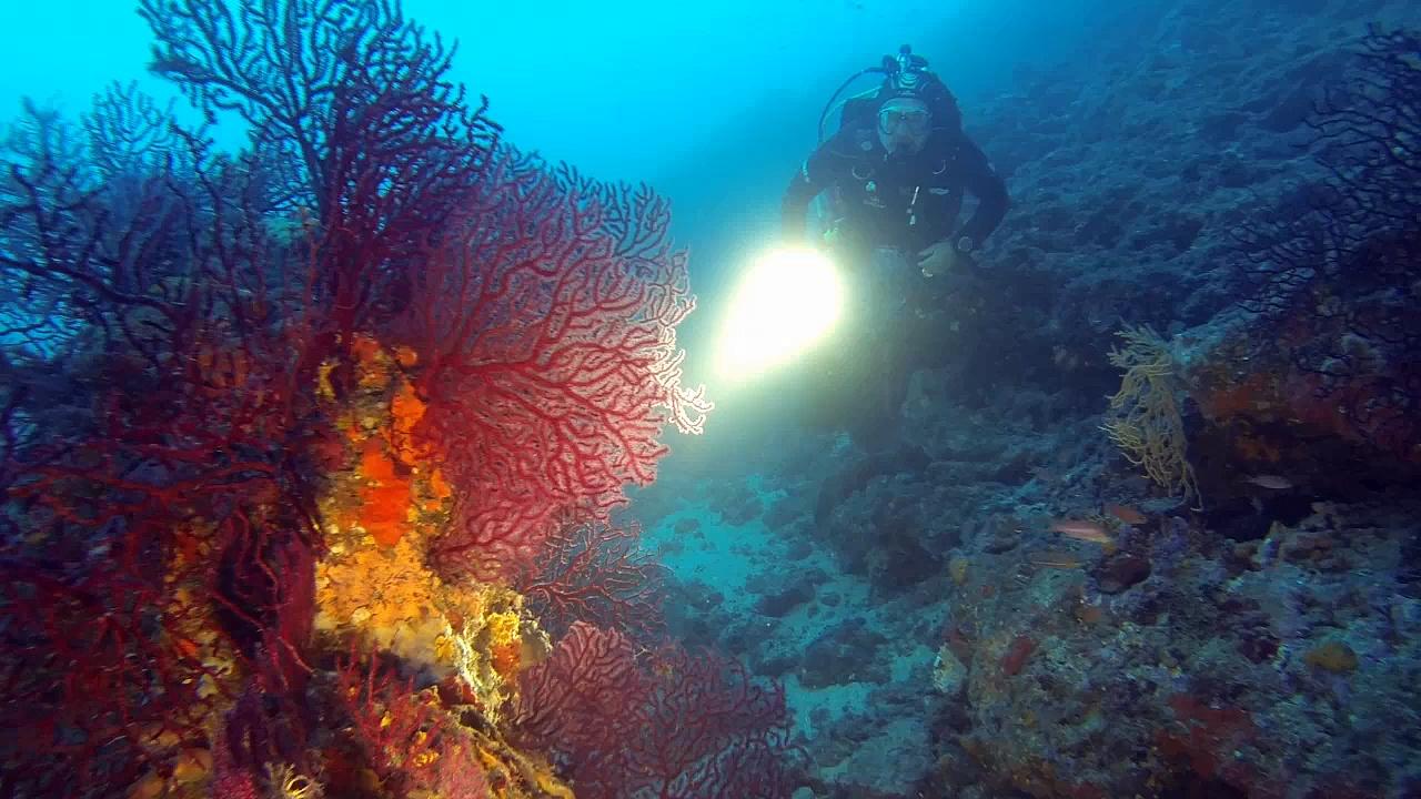 La Grotte à Pérez, le Labo Sous-Marin de Jean-Marie Pérès
