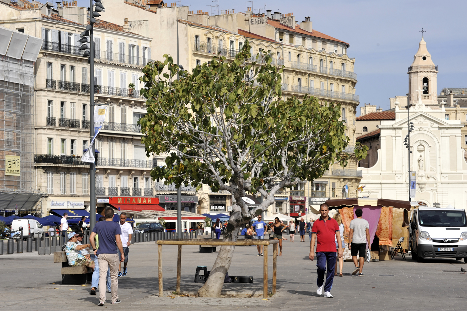 Le Figuier du Vieux-Port