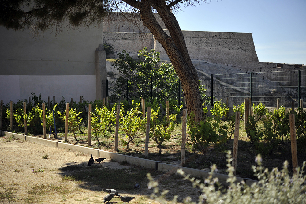 Les Vignes de Saint-Victor