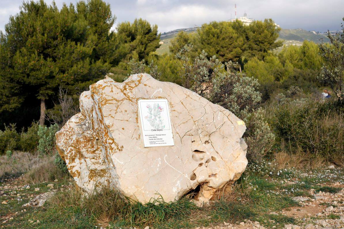 Sentier Botanique de la Batarelle, Massif de l’Étoile