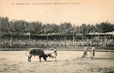 Arènes de la Plaine, Corridas de Marseille
