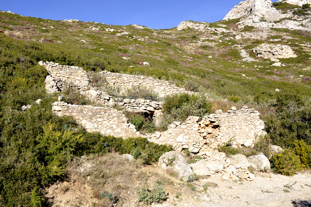 Ruines du Jas d’Henry