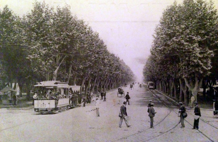 avenue-du-prado-boulevard-du-sud-marseille-3