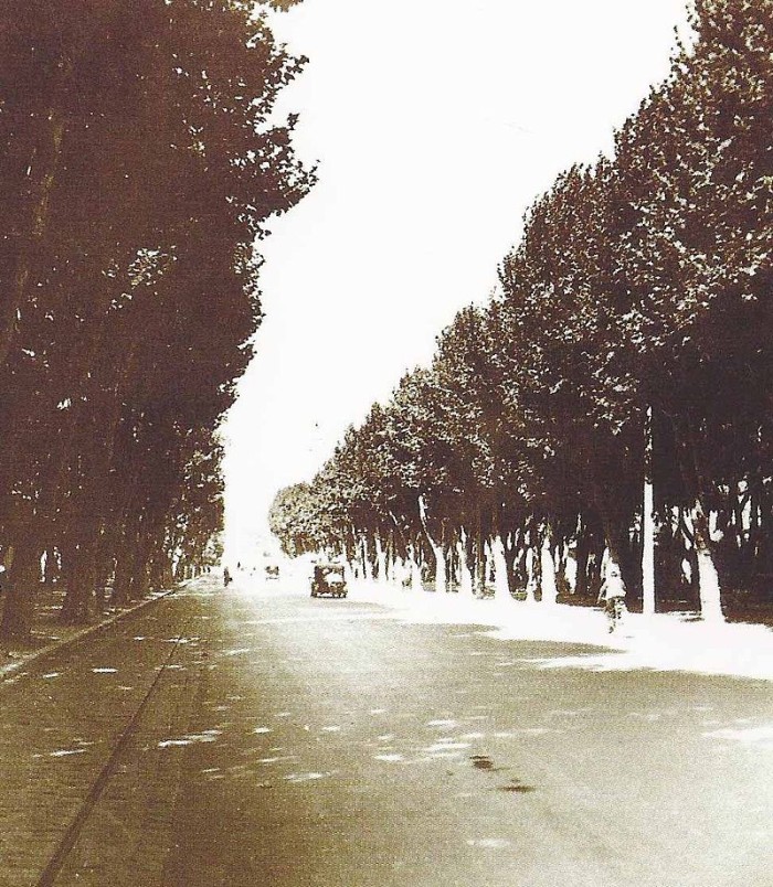 avenue-du-prado-boulevard-du-sud-marseille-4
