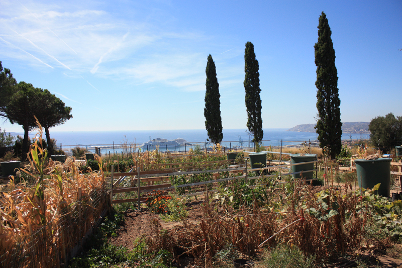 Jardin Partagé du Belvédère de la Viste