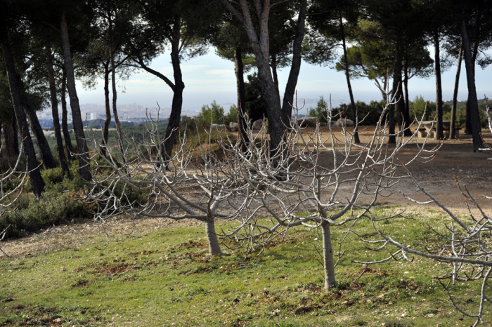 parc-departemental-de-la-negre-marseille-9