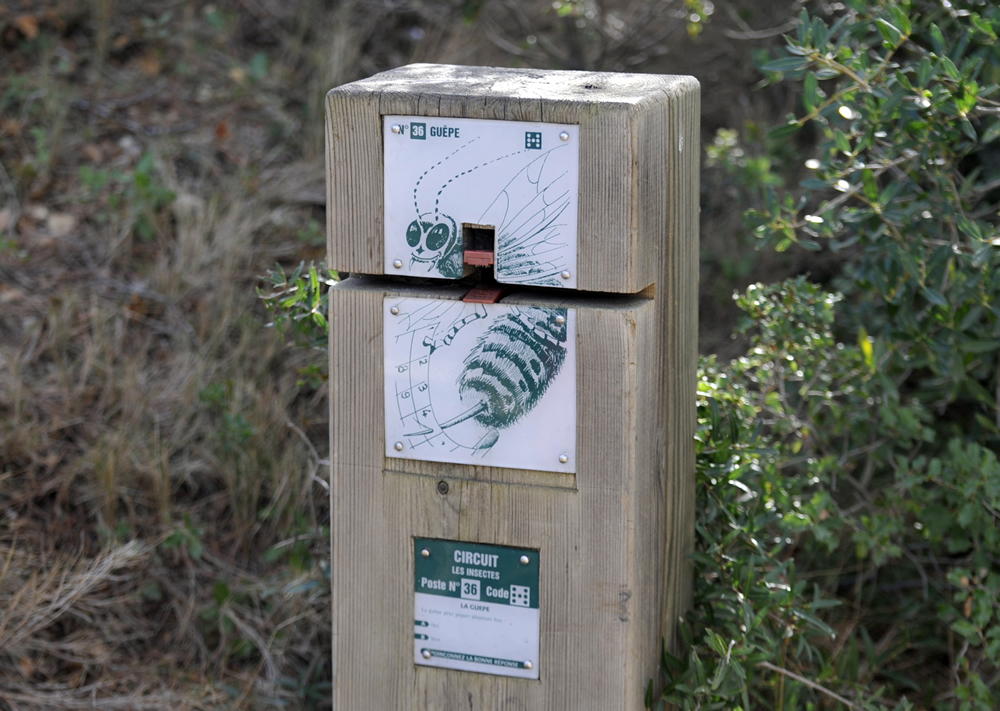 Parcours d’Orientation de la Nègre