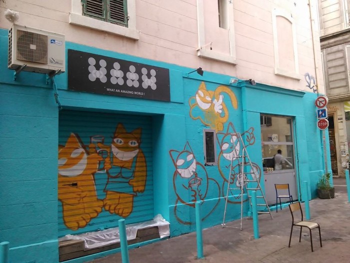 waaw-chat-le-fait-bien-marseille-3