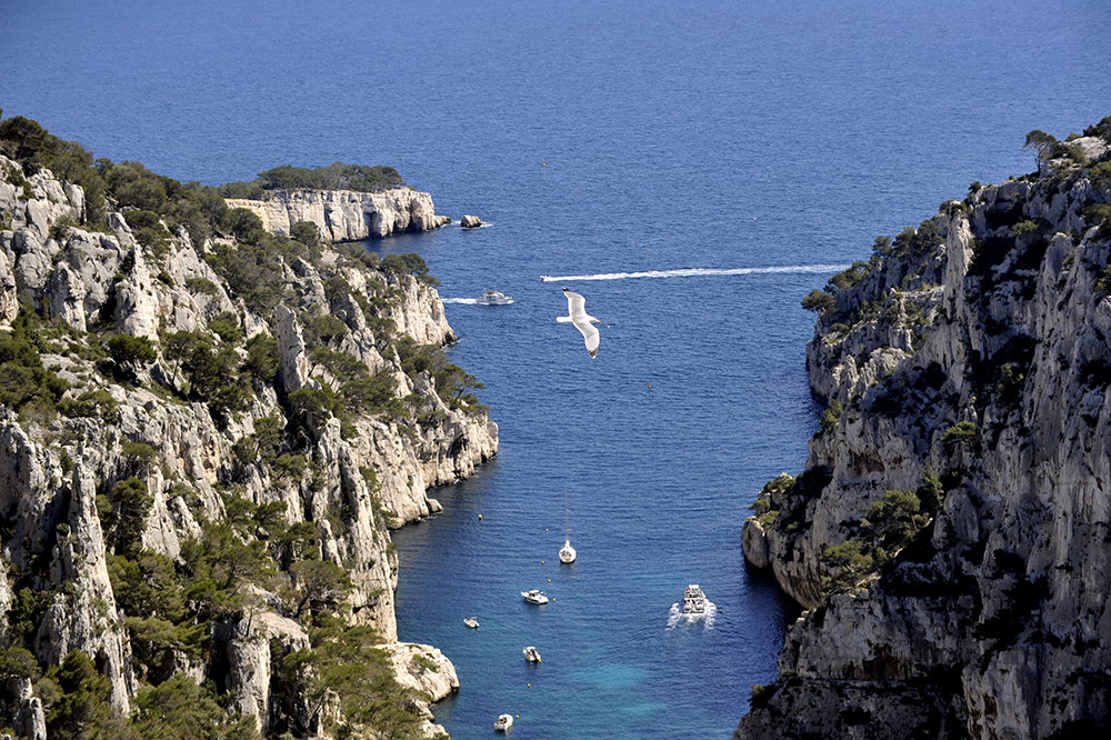 La Grotte des Trémies, Pointe Cacaou