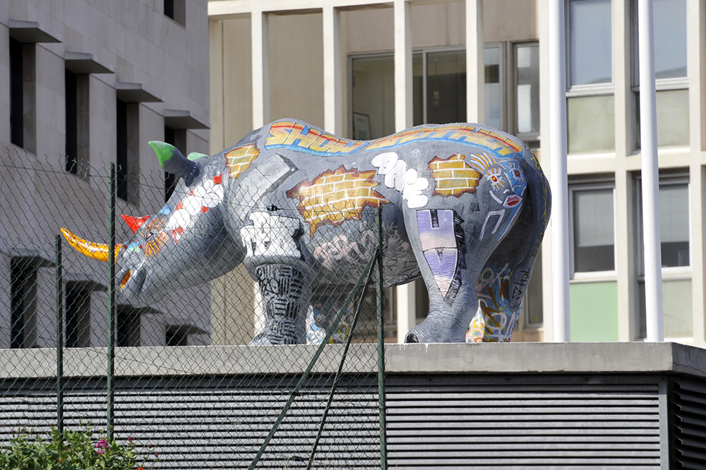 Le Rhinocéros Nina