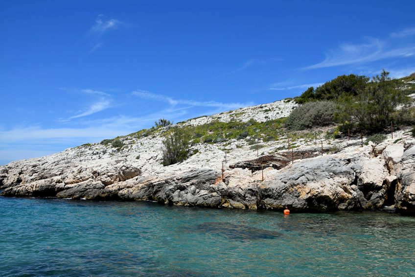 Calanque De Samena Parc National Des Calanques Marseille