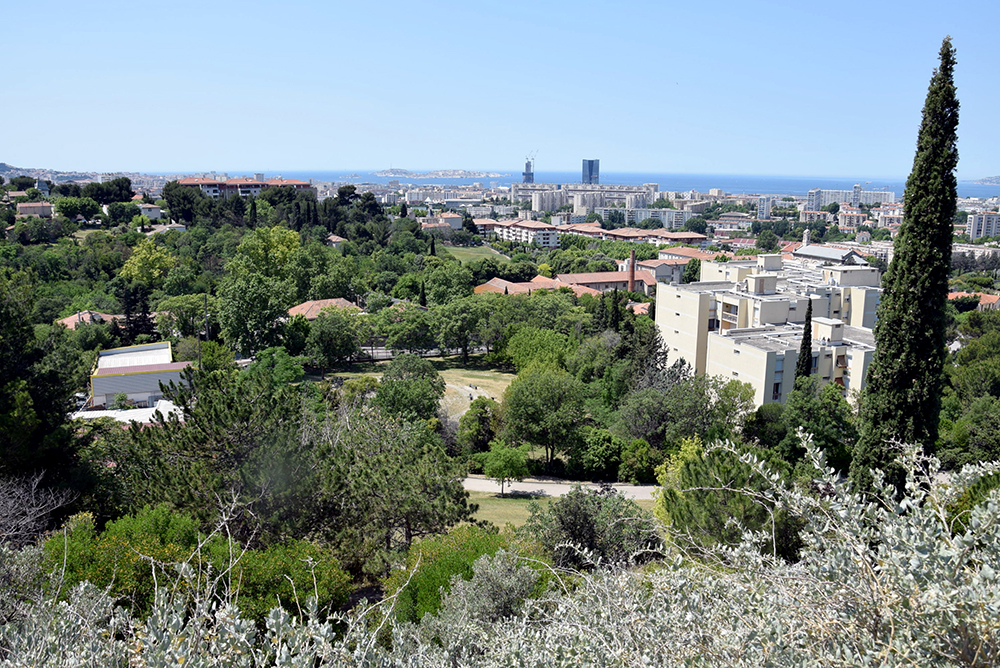 Parc De Font Obscure