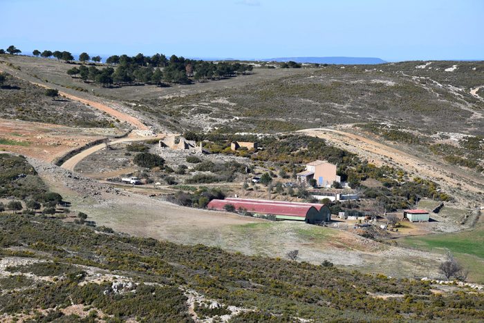 Les Chèvres du Rove, ici depuis 2600 ans, massif de la Nerthe, Brousse du Rove A.O.C, Marseille Les Chèvres du Rove, ici depuis 2600 ans, massif de la Nerthe, Brousse du Rove A.O.C, Marseille